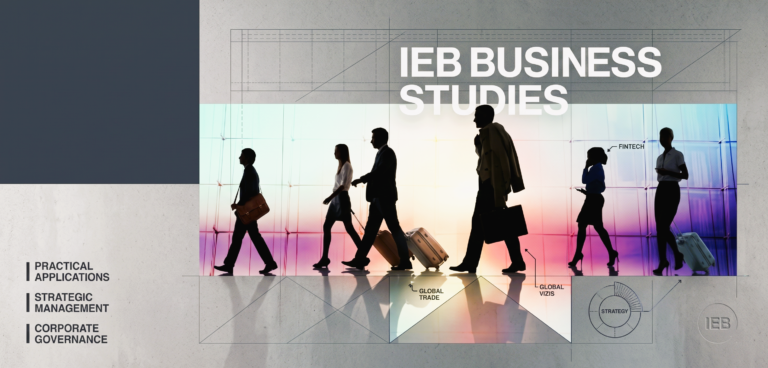 IEB Business Studies